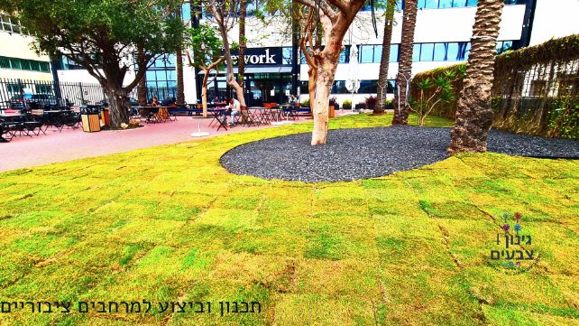 הקמת גינות