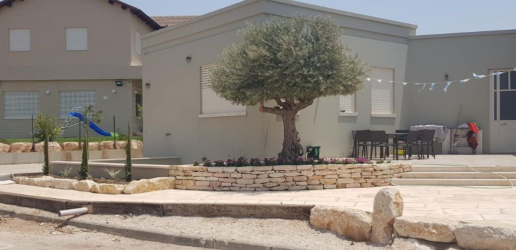 הקמת גינות